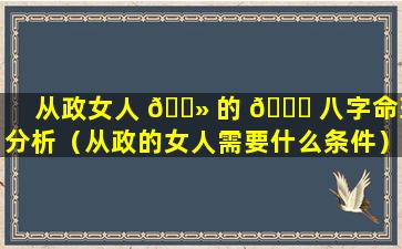 从政女人 🌻 的 🍁 八字命理分析（从政的女人需要什么条件）